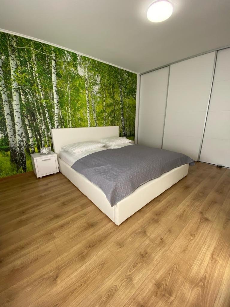 Apartament Nala Medias Exterior photo