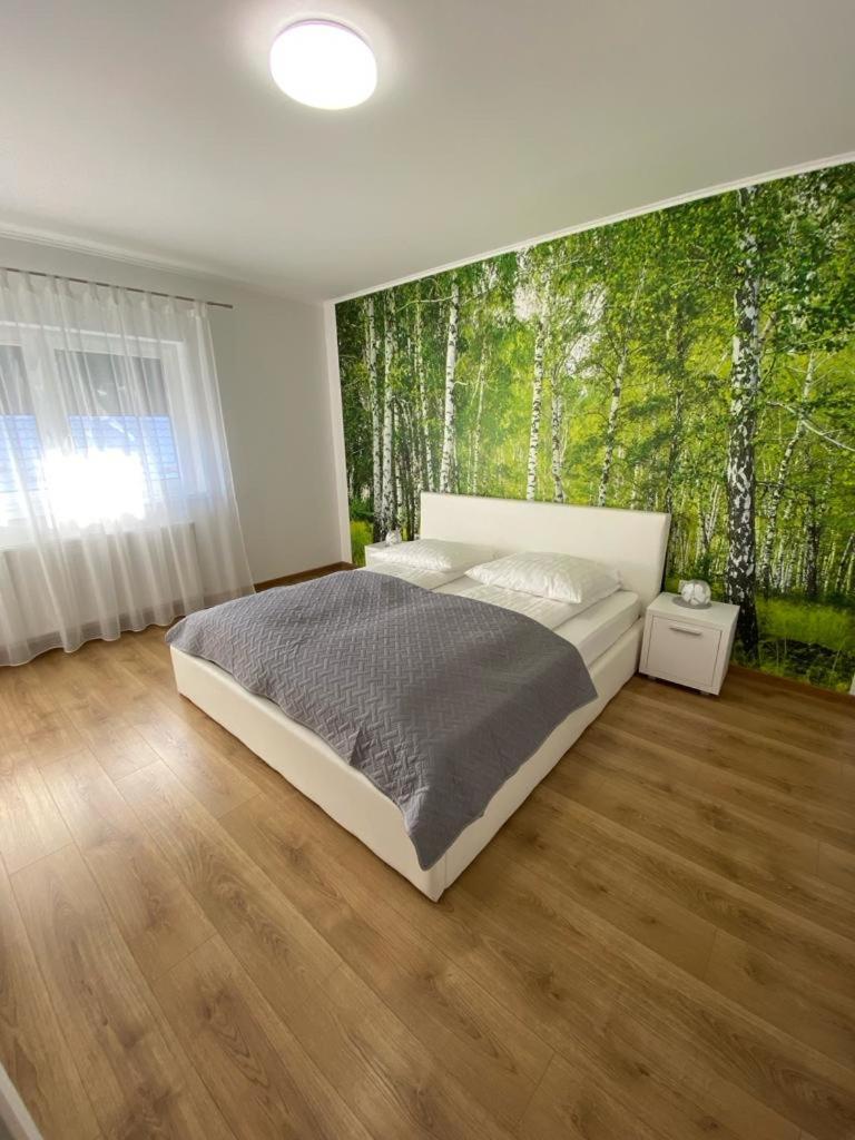 Apartament Nala Medias Exterior photo